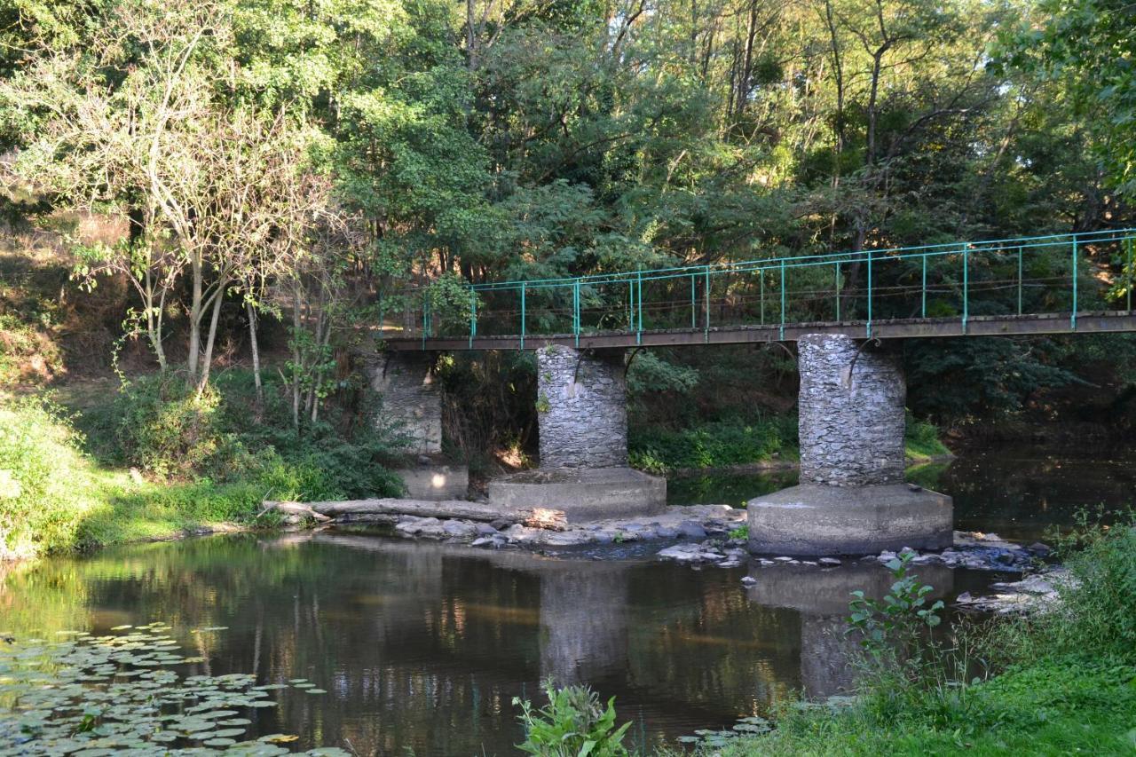 Вілла Le Moulin Neuf Beaupreau-en-Mauges Екстер'єр фото