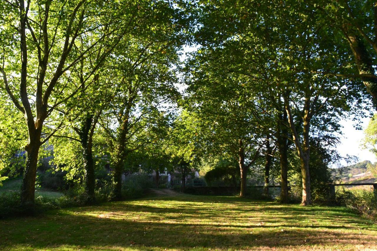 Вілла Le Moulin Neuf Beaupreau-en-Mauges Екстер'єр фото